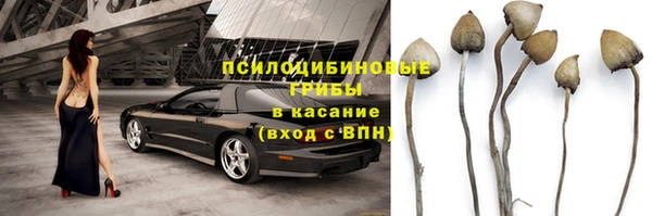 МДПВ Богородск