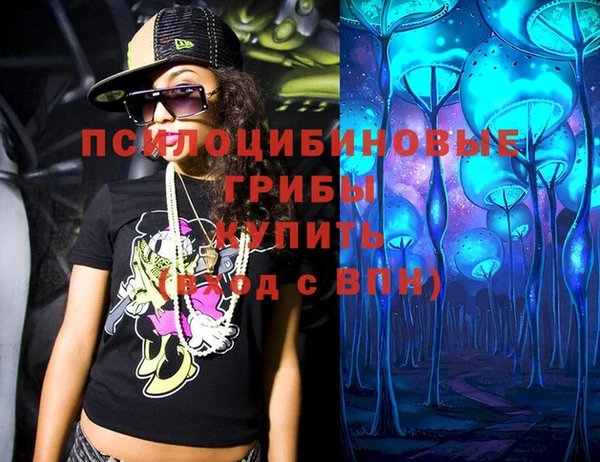 МДПВ Богородск