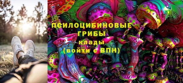 таблы Ельня