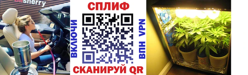 где купить наркотик  Мезень  Конопля семена 